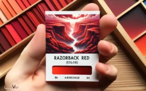 What Color Is Razorback Red? Deep!