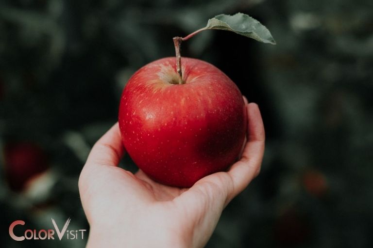 What Does The Color Red Symbolize In The Giver Love 
