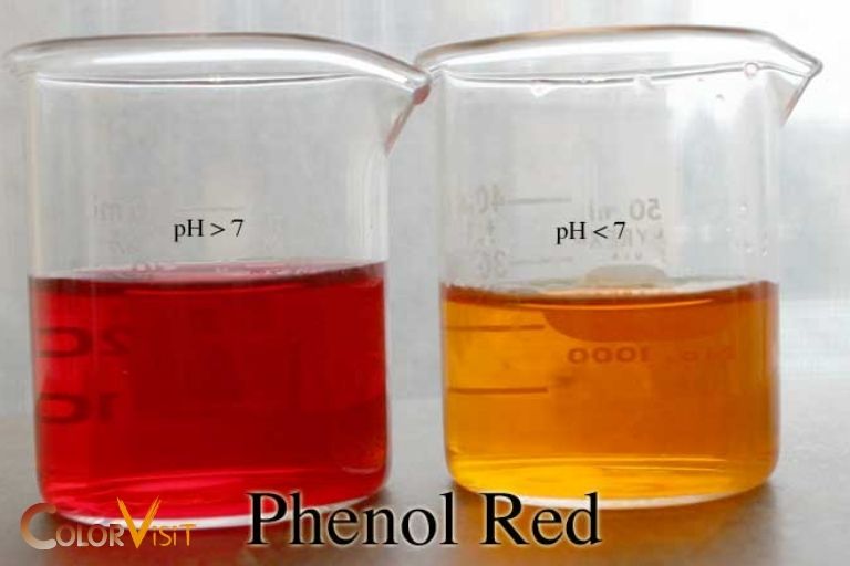 Why Does Phenol Red Change Color