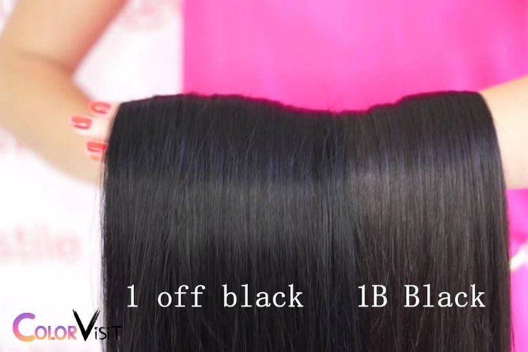 What Color Is Jet Black 1 Or 1b