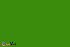 What Color Is Christmas Green? Vibrant Shade of Green