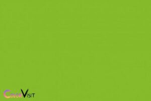 What Color Is Lime Green? Bright, Vibrant shade of green