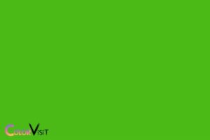 What Is Kelly Green Color? Bright, Vivid Shade of Green