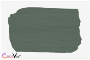 What Is the Best Gray Green Paint Color? SW 6204
