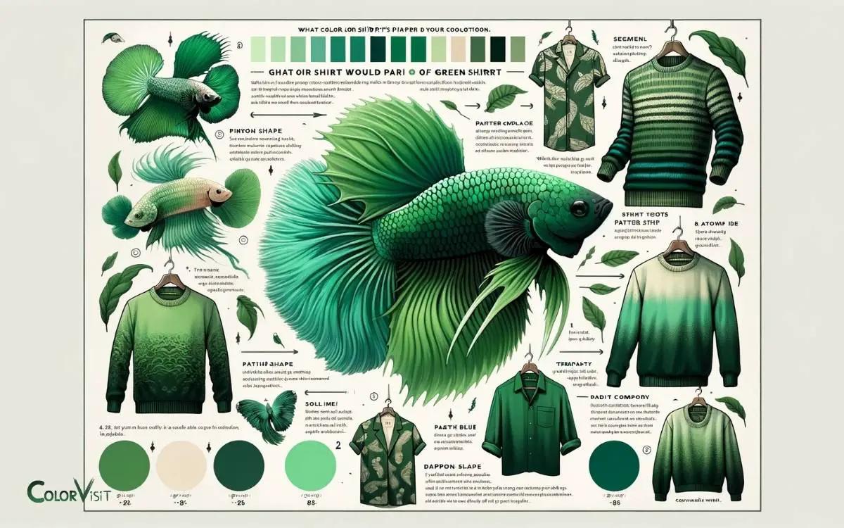 Betta Fish Green Color! Types & Characteristics