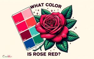 What Color Is Rose Red? Deep!