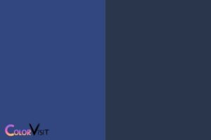 Indigo Color Vs Navy Blue: Two Different Shades of Blue!