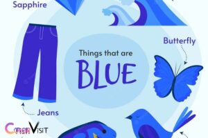 Things That Are Blue in Color – Discover the Variety