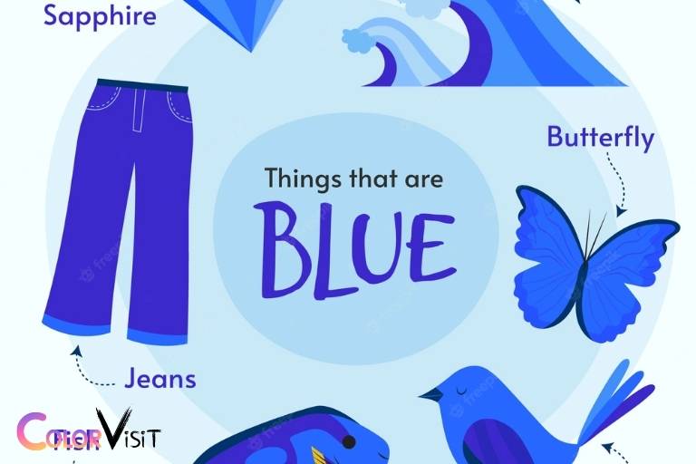 things that are blue in color