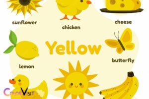 Things That Are Yellow in Color: Range of Objects!