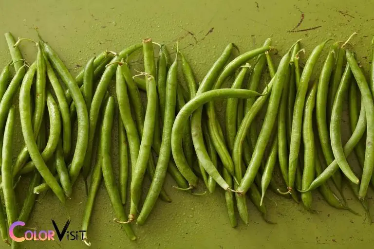 what color is a green bean