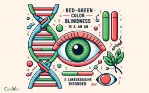 Red Green Color Blindness Is an X Linked Recessive Disorder!