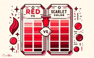 Red Vs Scarlet Color: Differences & Color Variations!