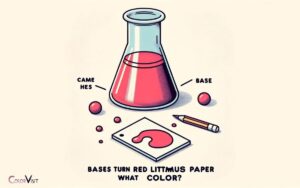 Bases Turn Red Litmus Paper What Color: Blue!