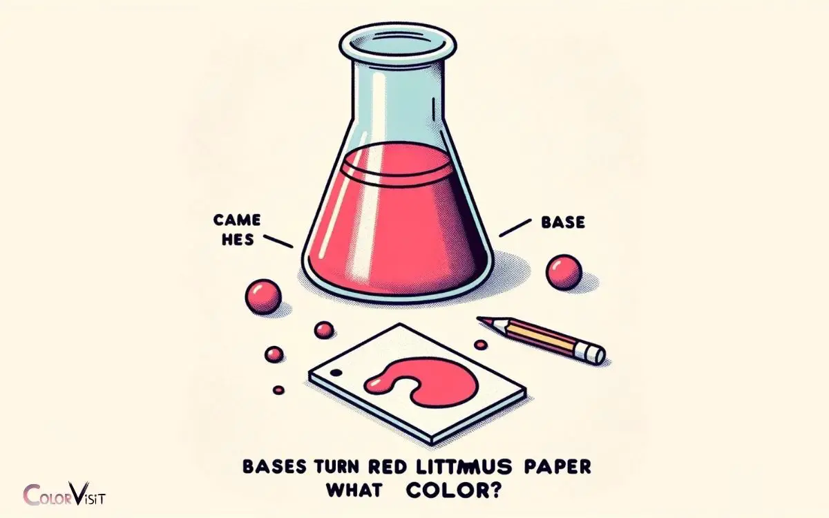 Bases Turn Red Litmus Paper What Color