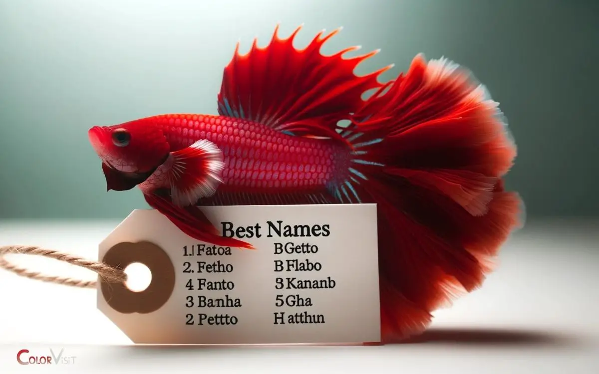 Betta Fish Names By Color Red