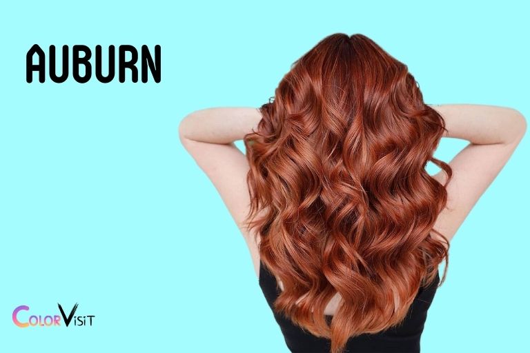 Brown Red Hair Color Name