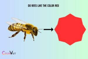 Do Bees Like the Color Red