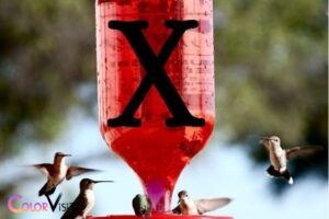 Is Red Food Color Bad for Hummingbirds