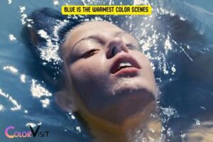 Blue Is the Warmest Color Scenes! Explained!