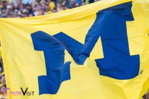 What Color Blue Is Michigan Wolverines? Maize and Blue!