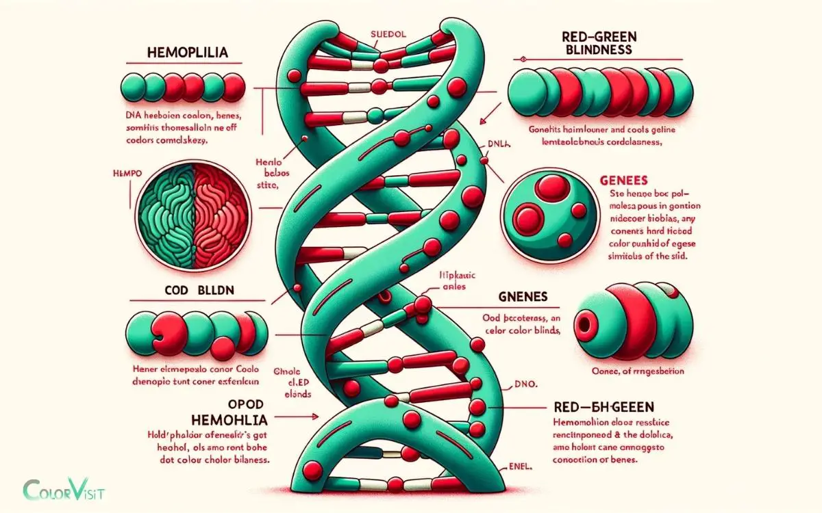 Both Hemophilia And Red Green Color Blindness Are