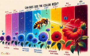 Can Bees See the Color Red? No!