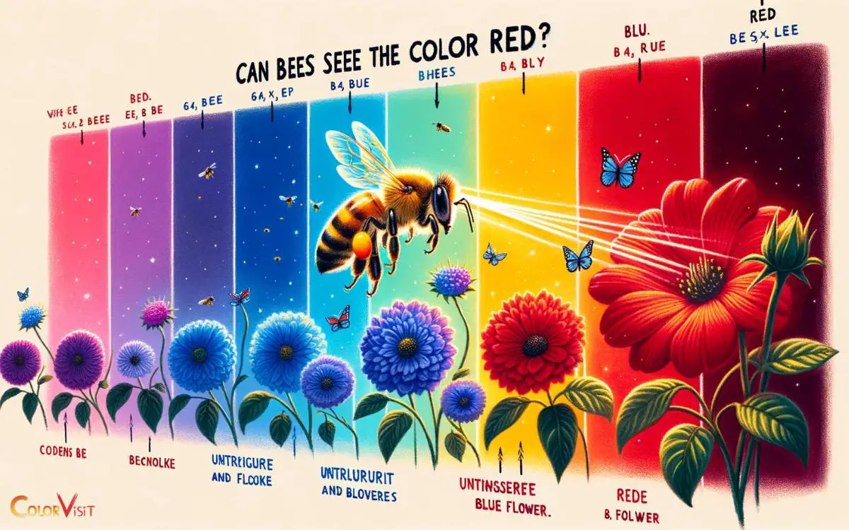 Can Bees See the Color Red