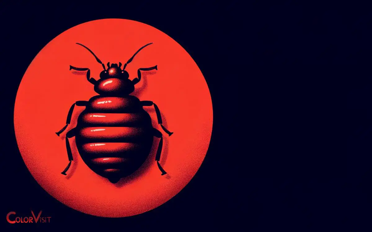 Are Bed Bugs Red In Color? Yes, Explanation!