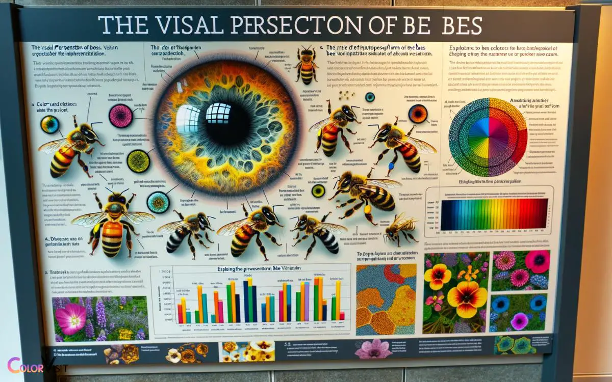The Visual Perception Of Bees