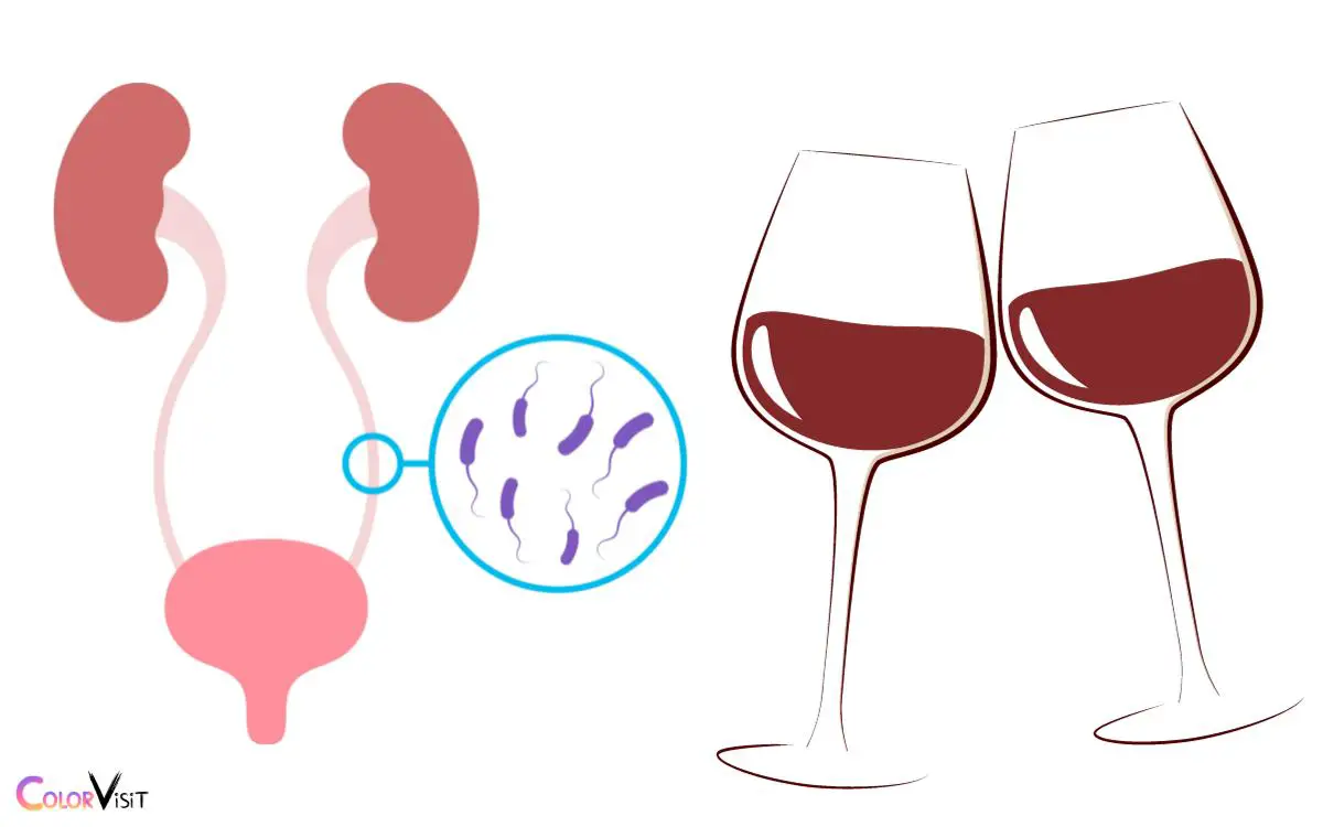 Health Implications of Red Wine Urine Color