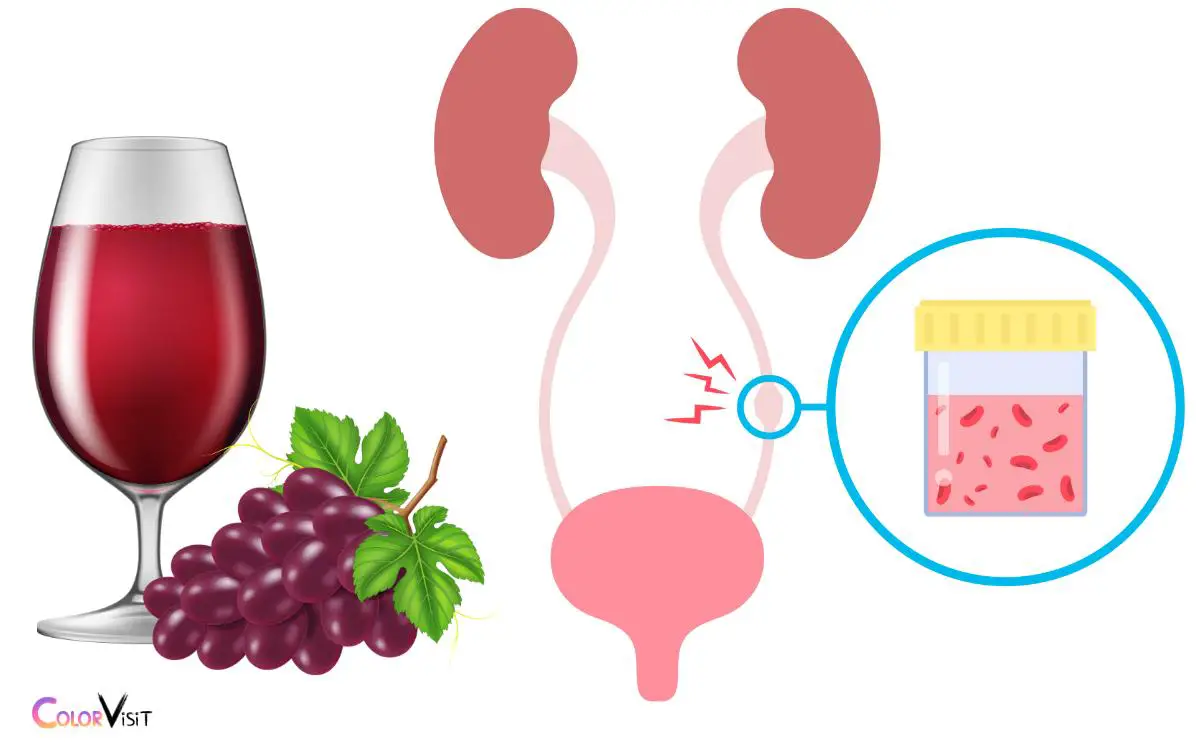 Impact of Red Grapes on Urine