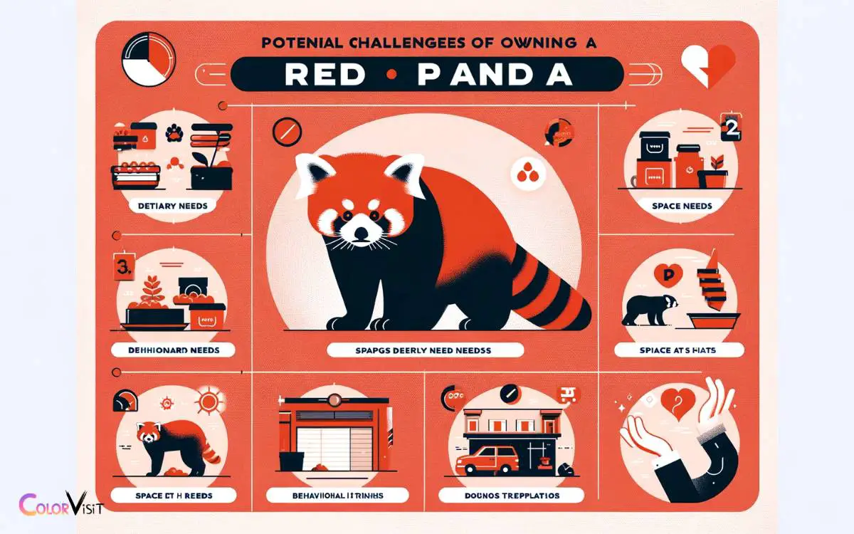 Potential Challenges of Owning a Red Panda