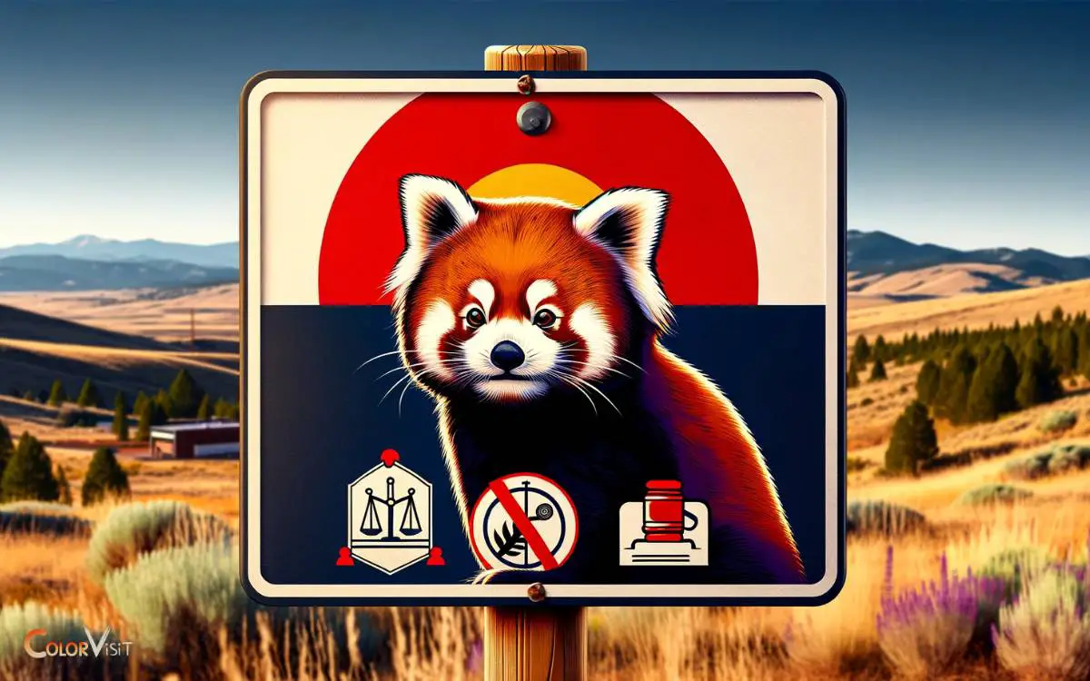 Red Panda Ownership Laws in Colorado