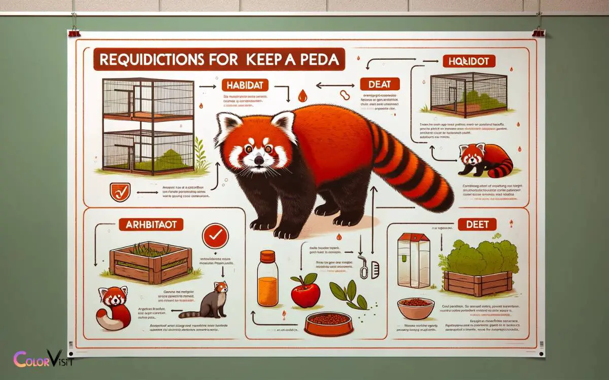 Requirements for Keeping a Red Panda