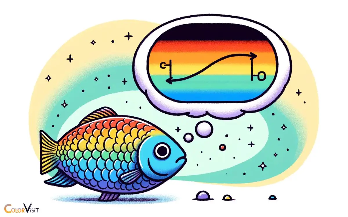 The Spectrum Of Fish Vision