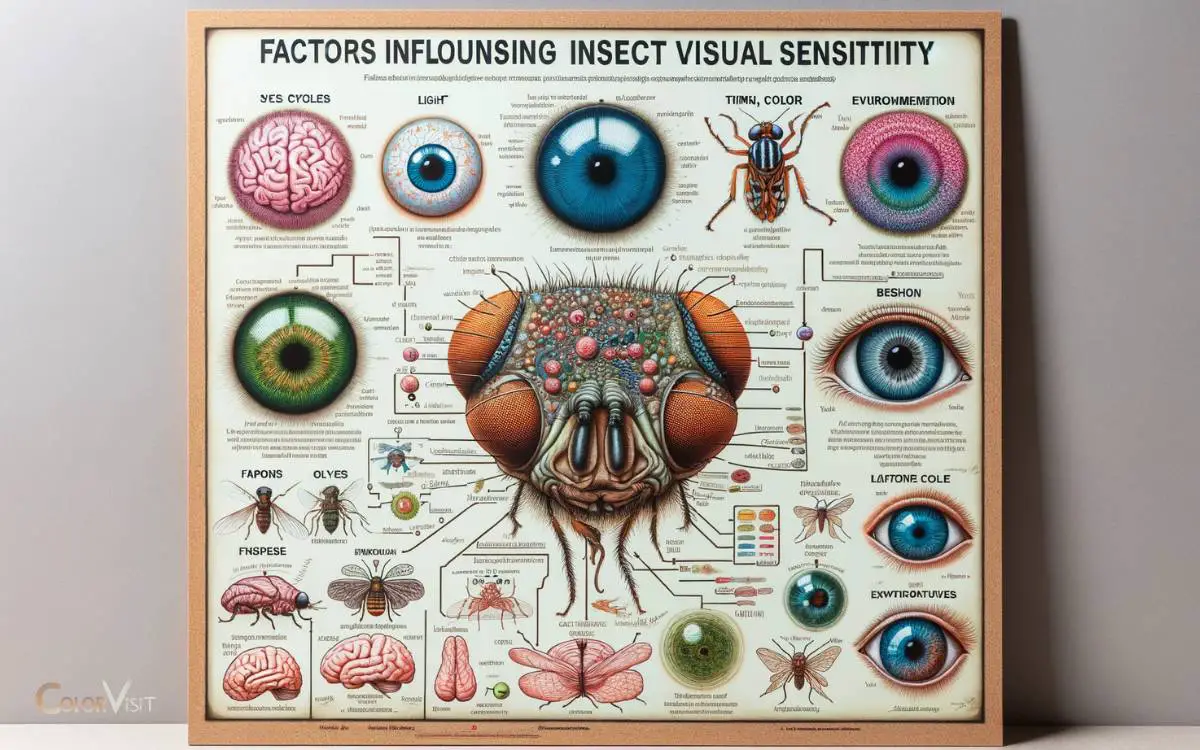 Factors Influencing Insect Visual Sensitivity