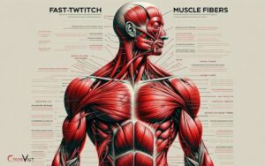 Fast Twitch Muscles Are Red in Color: Myoglobin!