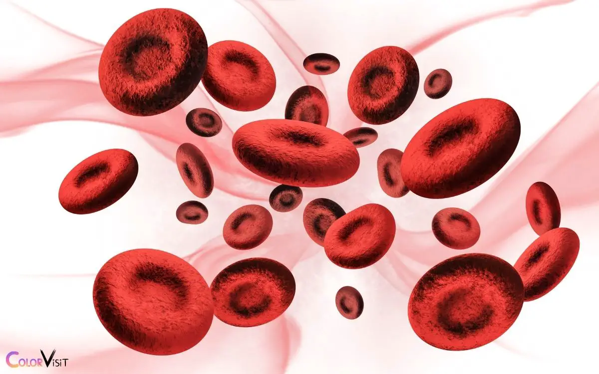 How Do Red Blood Cells Get Their Color