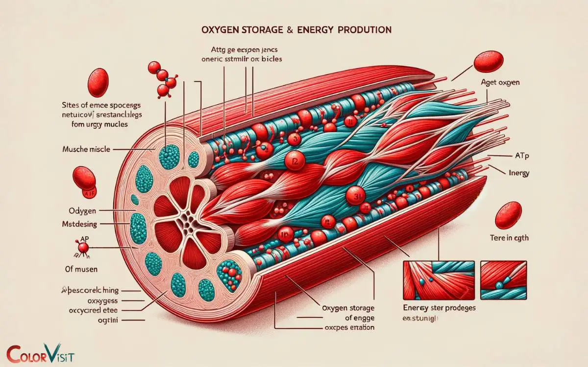 Oxygen Storage and Energy Production