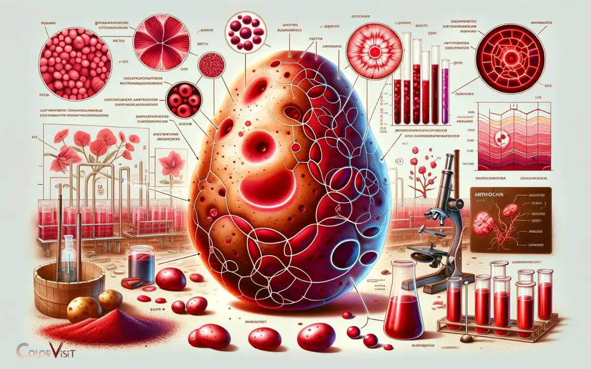The Science of Red Potato Pigments