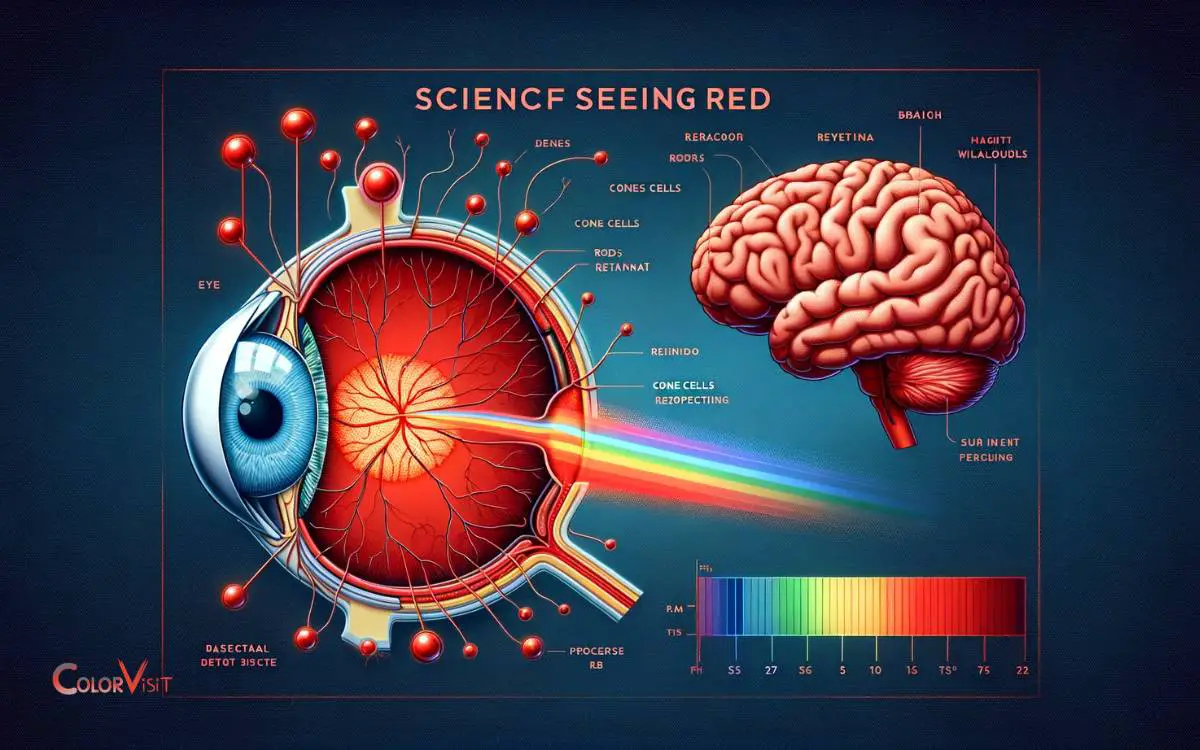 The Science of Seeing Red