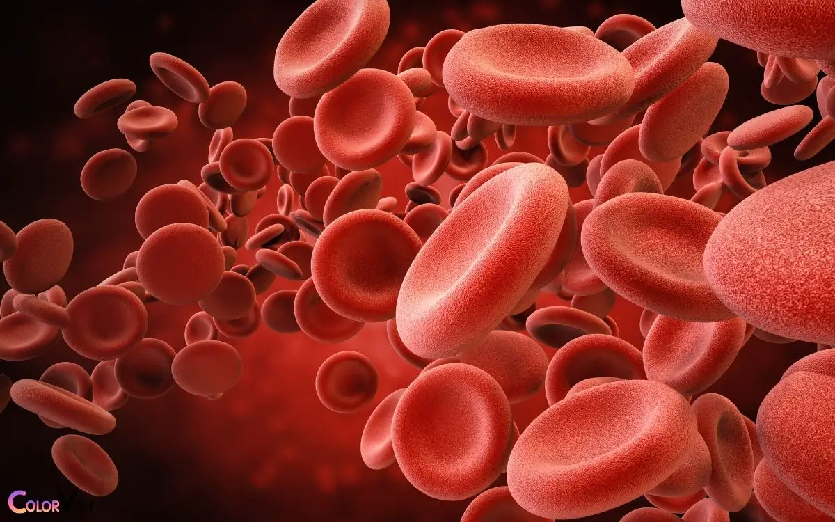 in Vertebrates Which Substance Gives Red Blood Cells Their Color