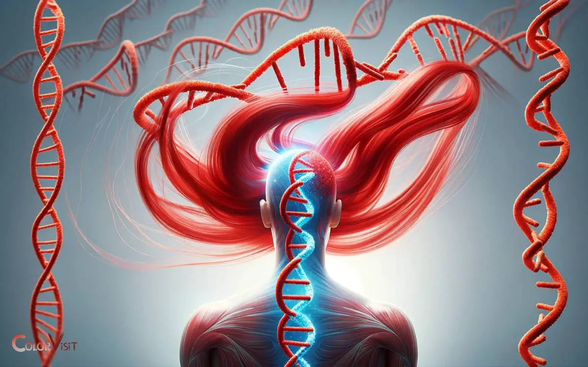The Genetics of Red Hair and Pubic Hair Color