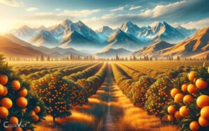 Can You Grow Oranges in Colorado: Unlocking Potential!